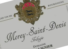 Hubert Lignier, Morey-Saint-Denis