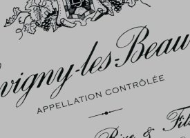 Simon Bize, Savigny-les-Beaune