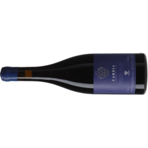 2022 Ribeira Sacra, Cardia - Pombeiras Baja, Adega Damm