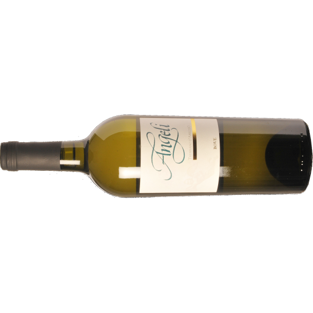 2024 Trebbiano dAbruzzo, Angeli, Cantine Bove