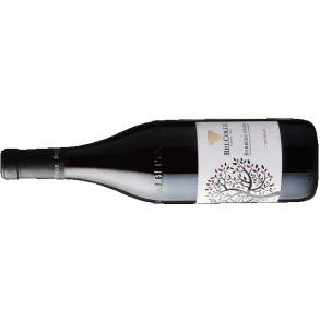 2023 Barbera d'Alba, Ape Reale, Bel Colle