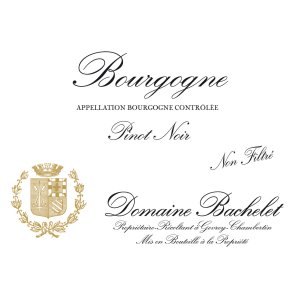 2022 Bourgogne Rouge, Domaine Bachelet