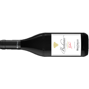 2020 Barbaresco, Gallina, Bel Colle