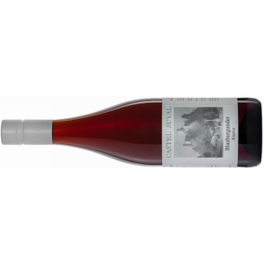 2021 Trentino - Alto Adige, Pinot Nero Riserva, Castel Juval