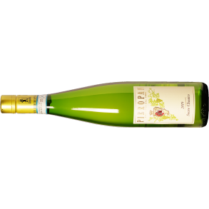 2024 Soave Classico, Pieropan