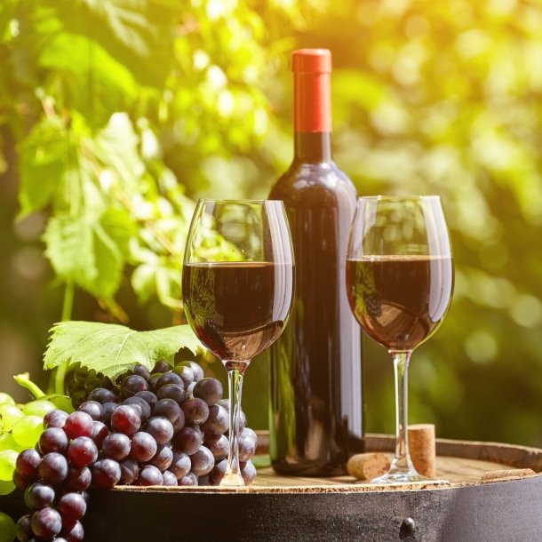 Thorkild's Italienske Vinfestival 2026 - Torsdag den 12. november p� ALFA!