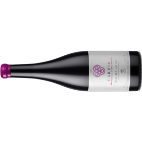 2019 Ribeira Sacra, Cardia - Brancellao Caio Menca, Adega Damm
