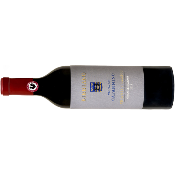2019 Chianti Classico Gran Selezione, Vigna del Capannino, Tenuta di Bibbiano