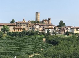 MGA Castiglione Falletto