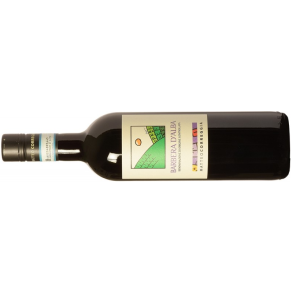 2022 Barbera d'Alba, Matteo Correggia