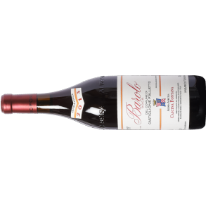 2020 Barolo, Castiglione Falletto, Cascina Fontana, MAGNUM!