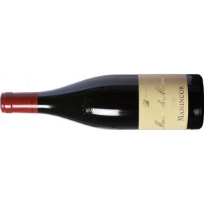 2020 Alto Adige, Mason di Mason, Manincor