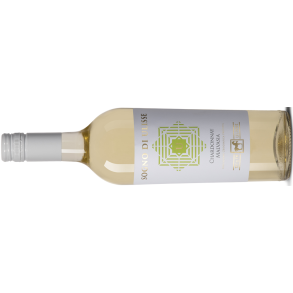 2024 Terre di Chieti, Sogno di Ulisse, Tenuta Ulisse