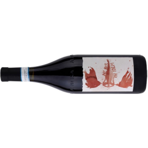 2019 Langhe Nebbiolo, Luigi Vico